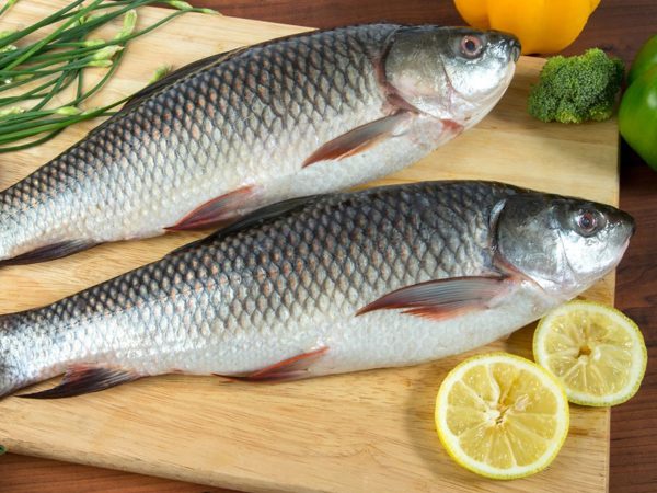 Fresh-Rohu-Fish-1kg-Approx